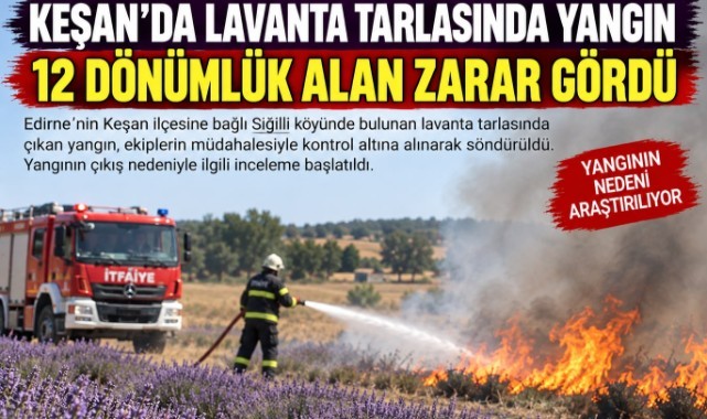 Lavanta Tarlası Alevlere Teslim Oldu