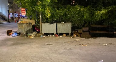 Sarıcapaşa’da Kötü Koku ve Sinek Şikâyeti