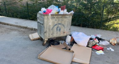 Talatpaşa’da Çöp Konteynerleri Tepki Çekti