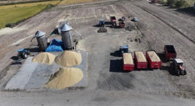 Türkiye'nin Çeltik Ambarı Edirne'de Kurutma Mesaisi Başladı