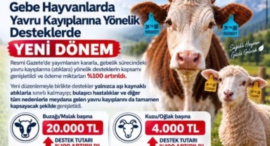 Üreticinin Kaybına Karşı Yeni Destek Adımı