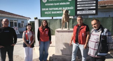 214 Yıllık Hayır Geleneği Bu Kez Can Dostlara Uzandı