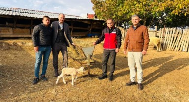 Aslıhan Köyü’nde Küçükbaş Hayvancılık Faaliyetleri Yerinde İncelendi