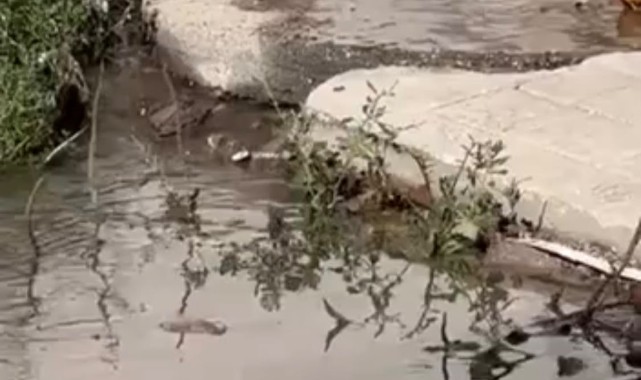 BİR HAFTADIR AYNI MANZARA! ŞİKÂYET VAR, ÇÖZÜM YOK!