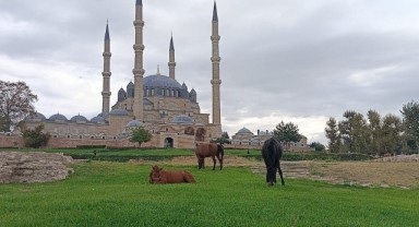 EDİRNE’NİN VİTRİNİ İÇİN BELEDİYE ÖNLEM ALMALI