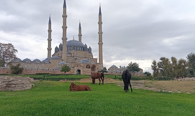 EDİRNE’NİN VİTRİNİ İÇİN BELEDİYE ÖNLEM ALMALI