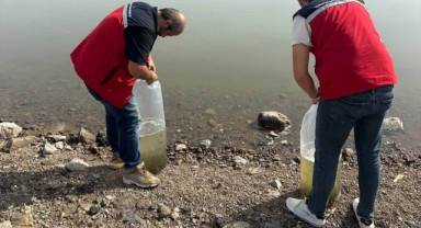 Enez’de İç Sulara Sazan Takviyesi