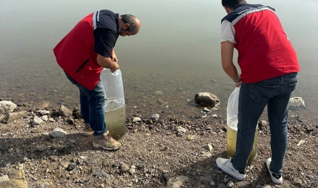 Enez’de İç Sulara Sazan Takviyesi