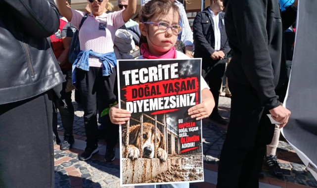 Hayvanseverlerden Başkan Gencan’a Çağrı: “Hesap Ver!”