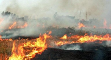 İpsala’da Anız Yakan 11 Kişiye İşlem