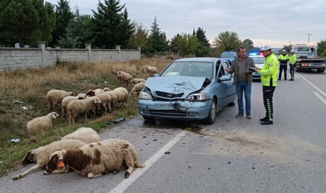 Keşan’da Yola Çıkan Sürü Kazaya Neden Oldu