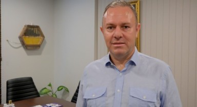 Makam Odasında Arıların Bal Mesaisi