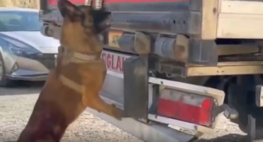 Milyonlarca Kaçak Ürün Ele Geçirildi