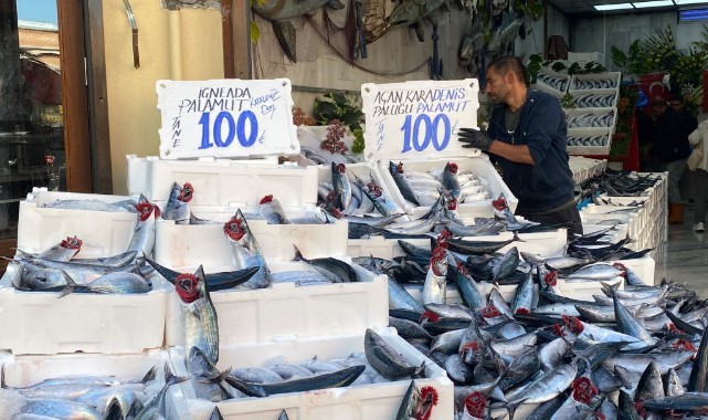 Palamutta Fiyat Sevindirdi: 100 TL’ye Geriledi!