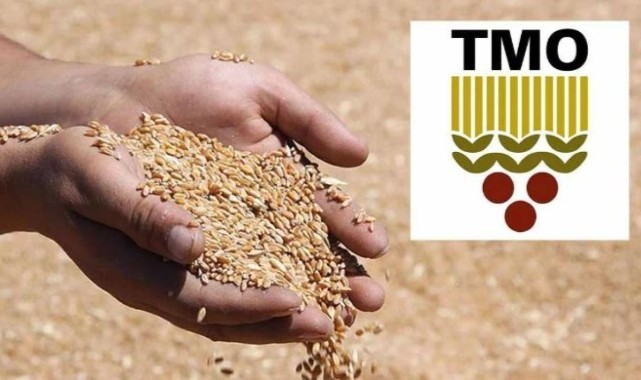 TMO, ÇELTİK ALIM FİYATLARINI DUYURDU