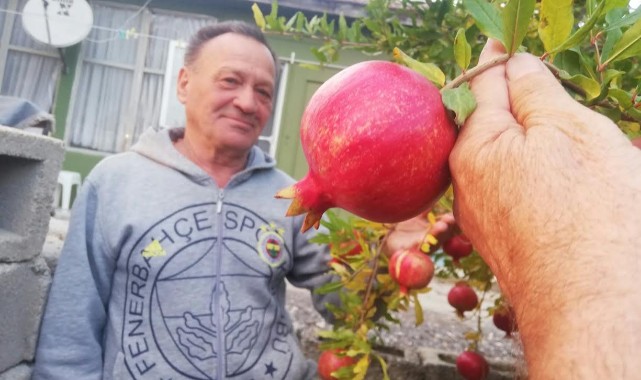 Trakya’da Nar Hasadı Başladı