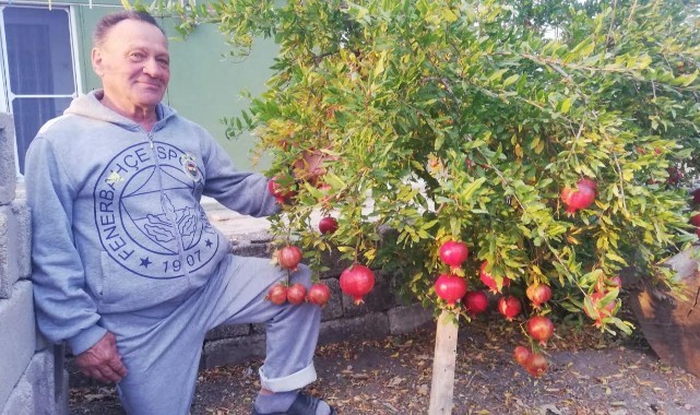 Trakya’da Nar Hasadı Başladı