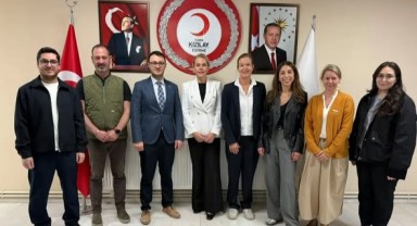 Türk Kızılay ve İsveç Kızılhaçı Arasında İş Birliği Görüşmesi