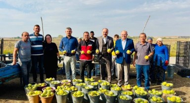 Uzunköprü’de 50 Dekarlık Armut Bahçesinde Hasat