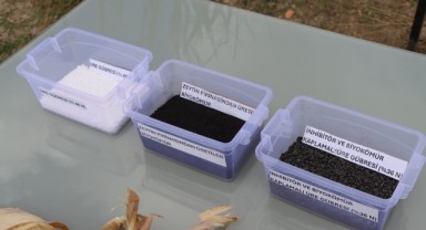 Zeytin Posası Tarımda Verim ve Çevre İçin Değerlenecek