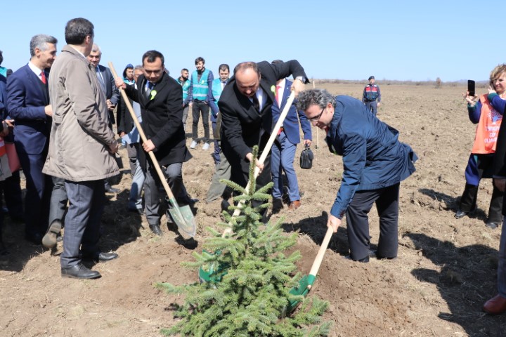 Adalet Ormanına ilk fidan validen